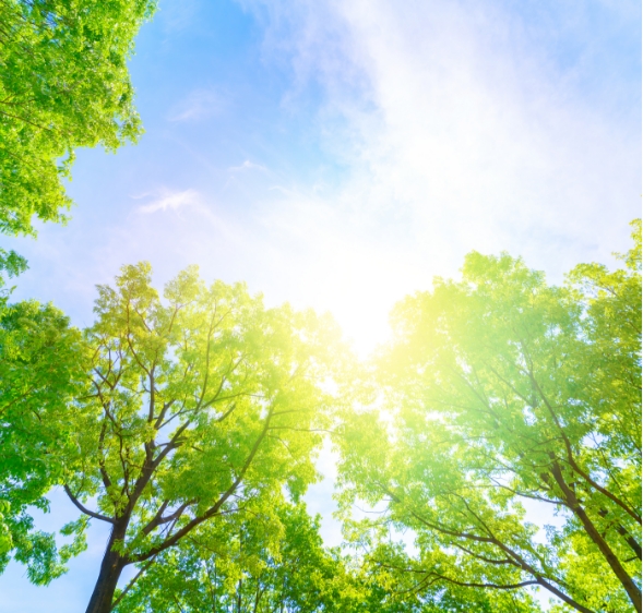 グループハウス光について