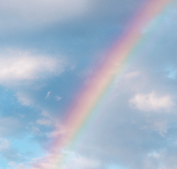 デイサービスセンター虹について